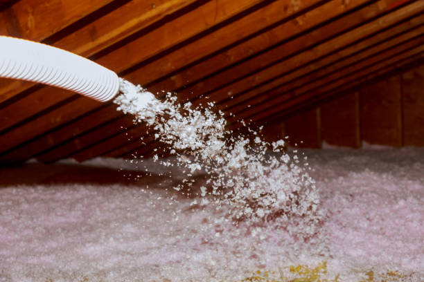 Best Insulation Installation Services in Wakarusa, IN