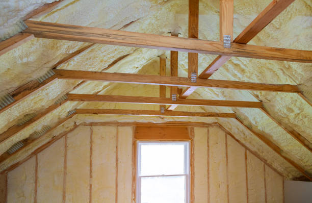 Best Insulation Installation Services in Wakarusa, IN